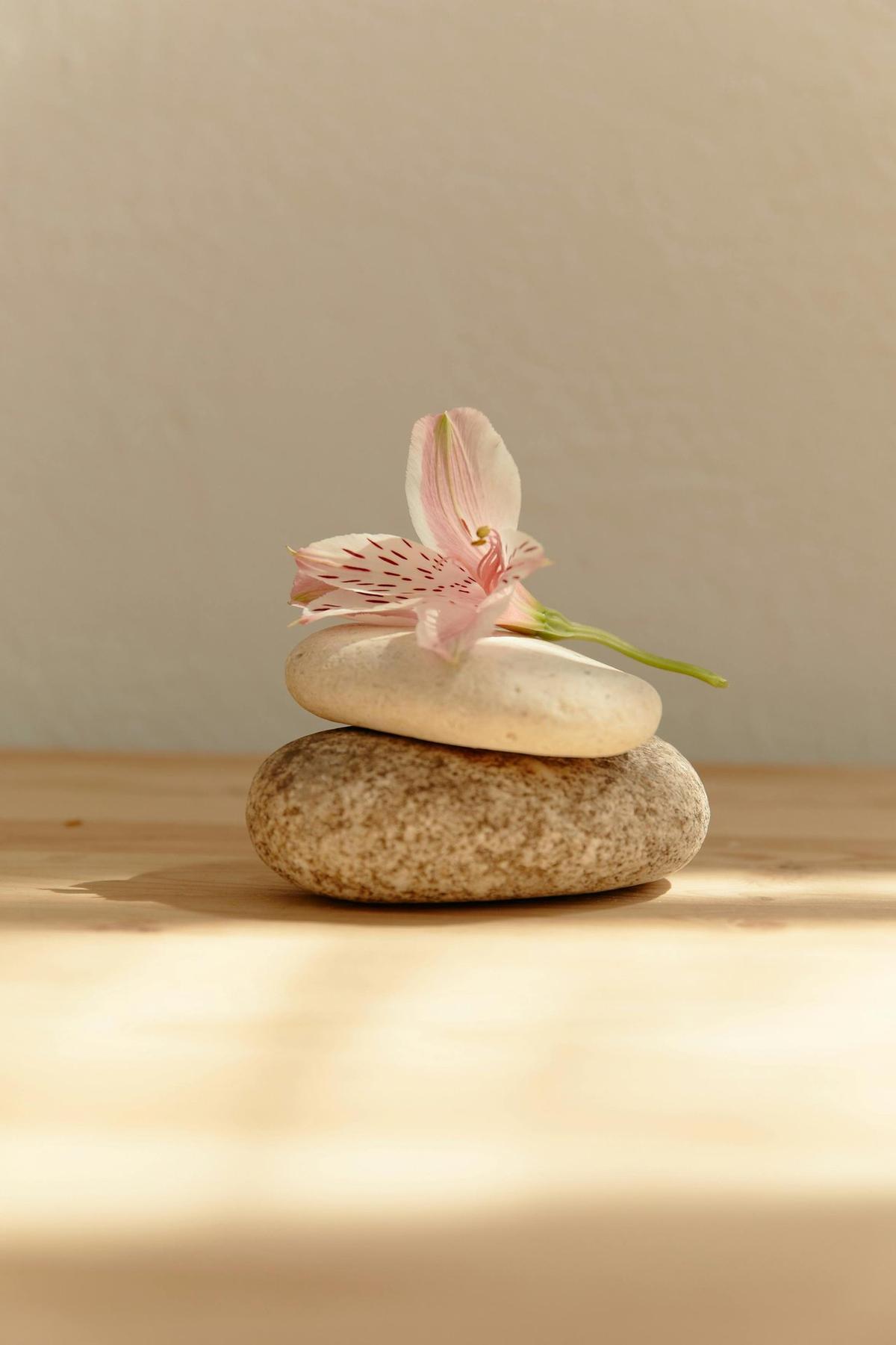 Spa para Niñas