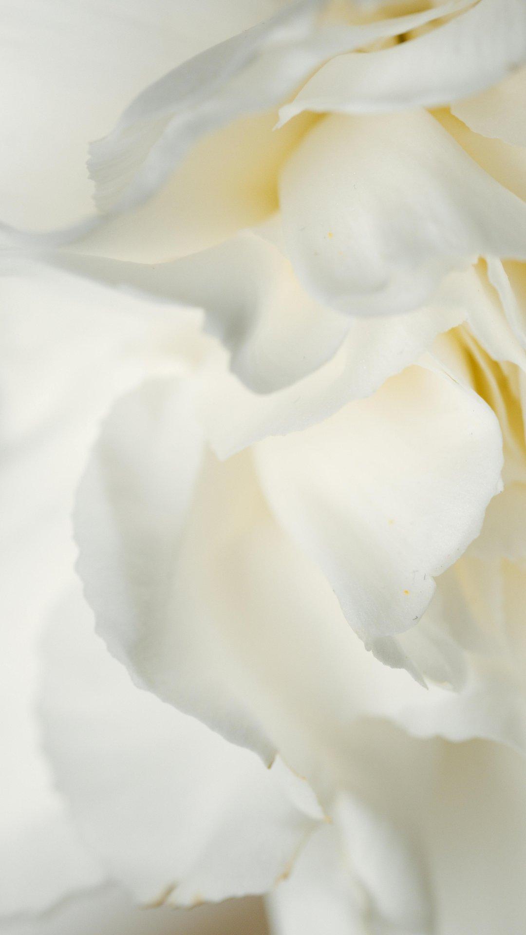 Spa Luxury